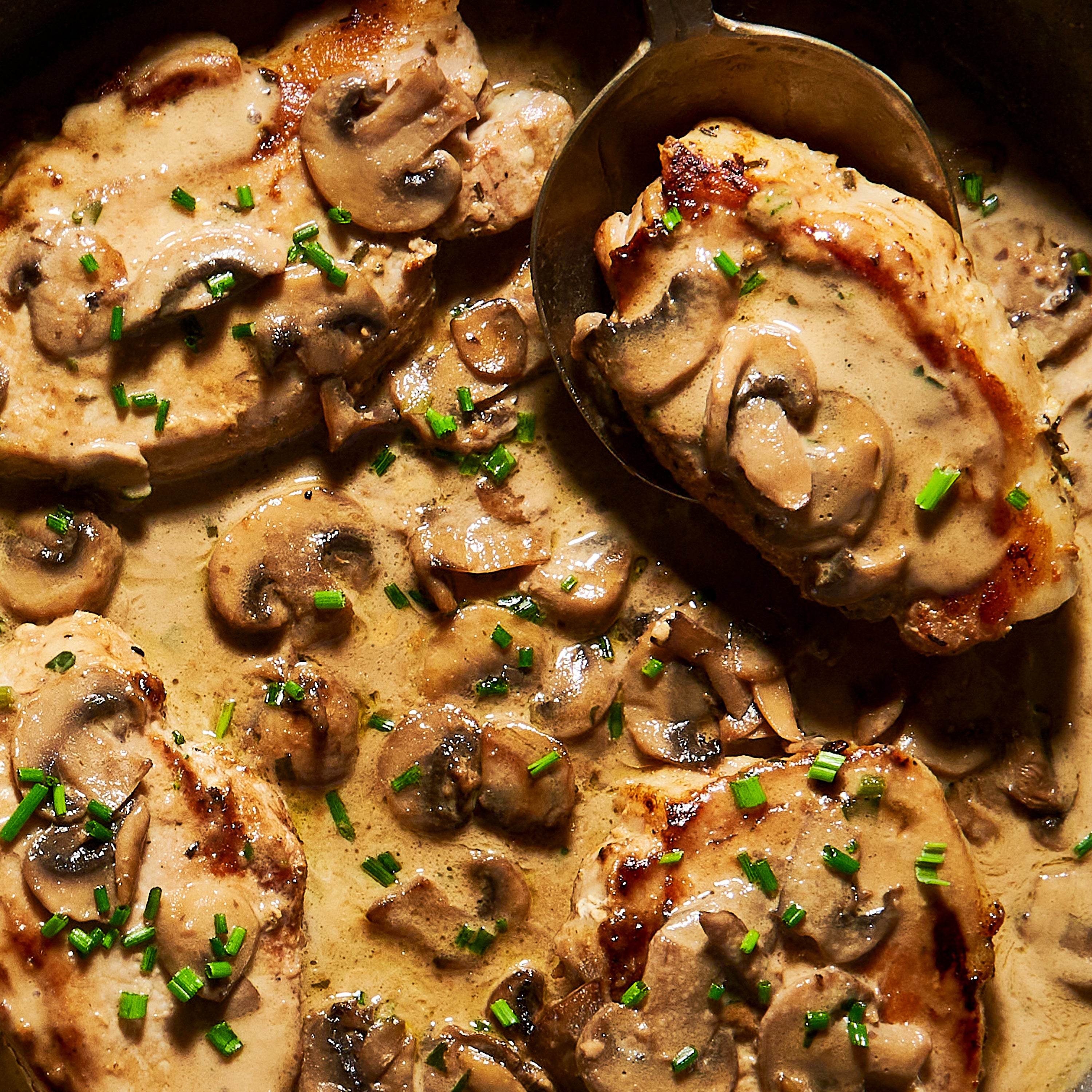 close up pork mushroom sauce